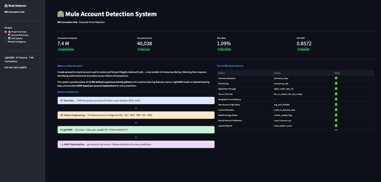 RBIH Mule Account Detection